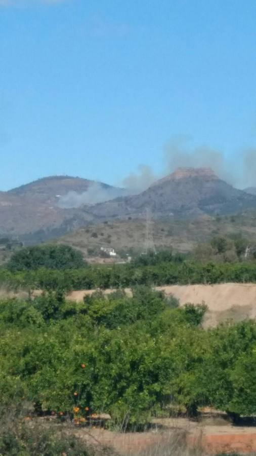 Incendio forestal en Segart