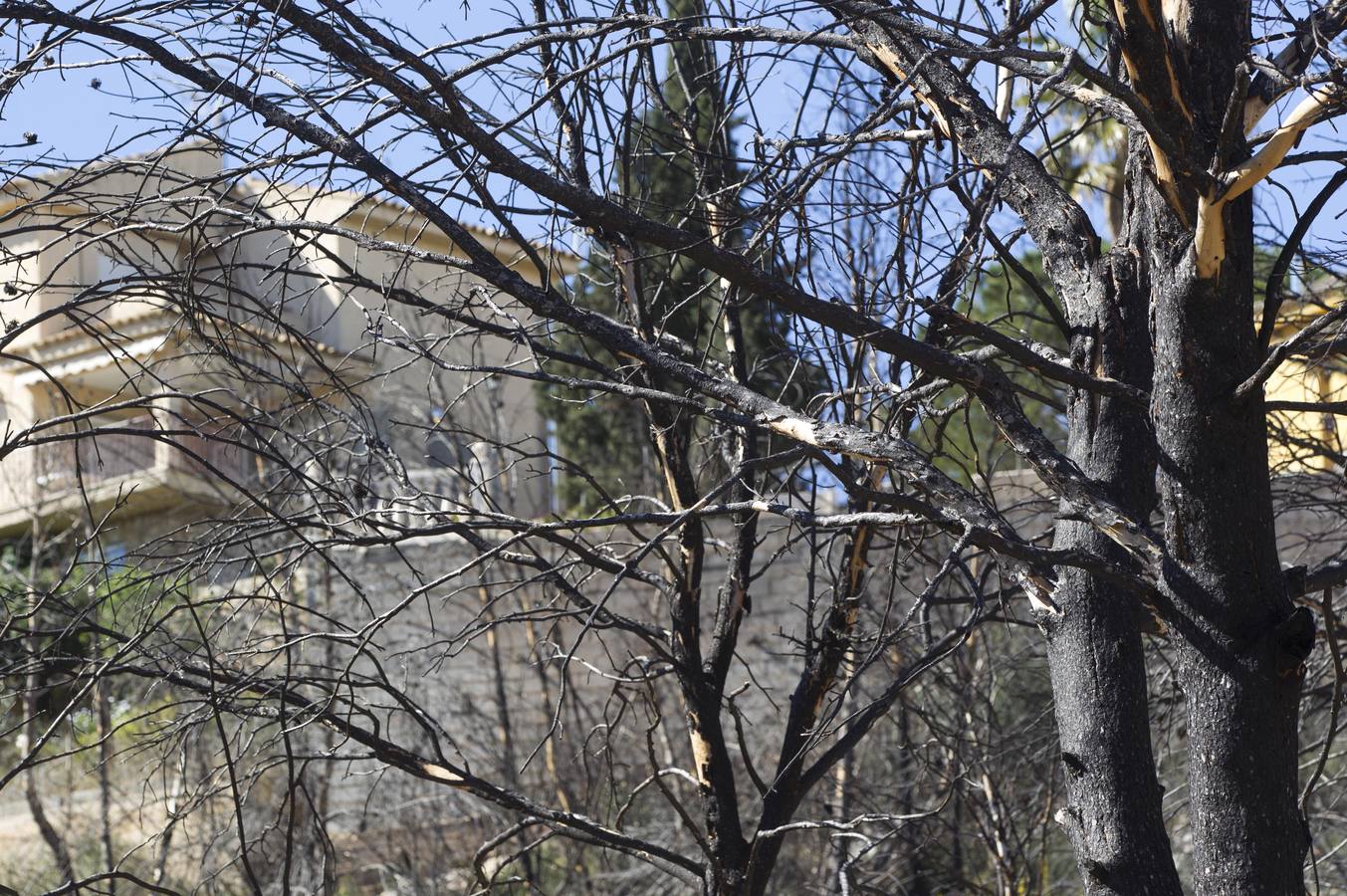 Aspecto que presenta la urbanización Sierra Perentxiza de Godelleta, en imágenes