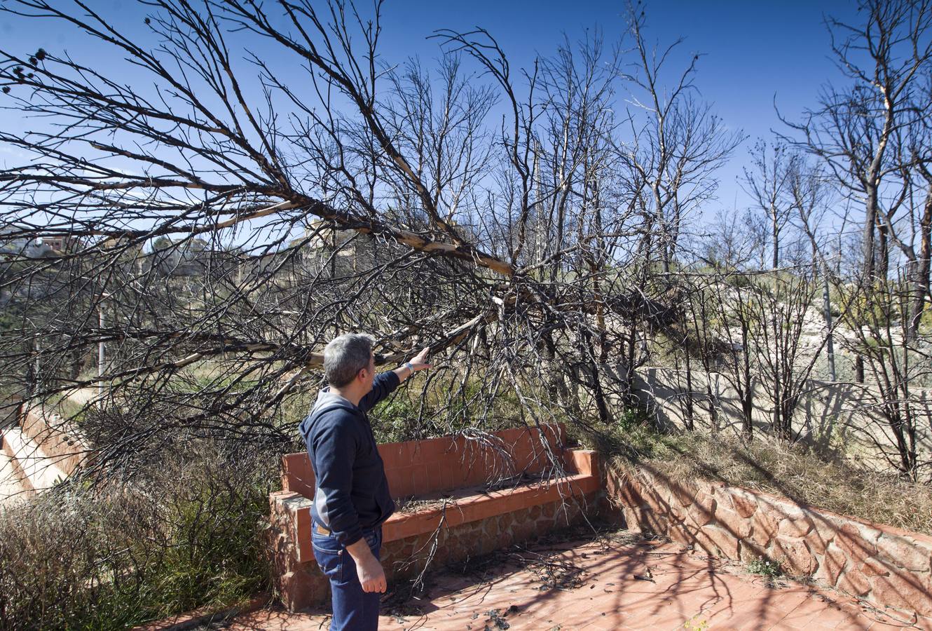 Aspecto que presenta la urbanización Sierra Perentxiza de Godelleta, en imágenes