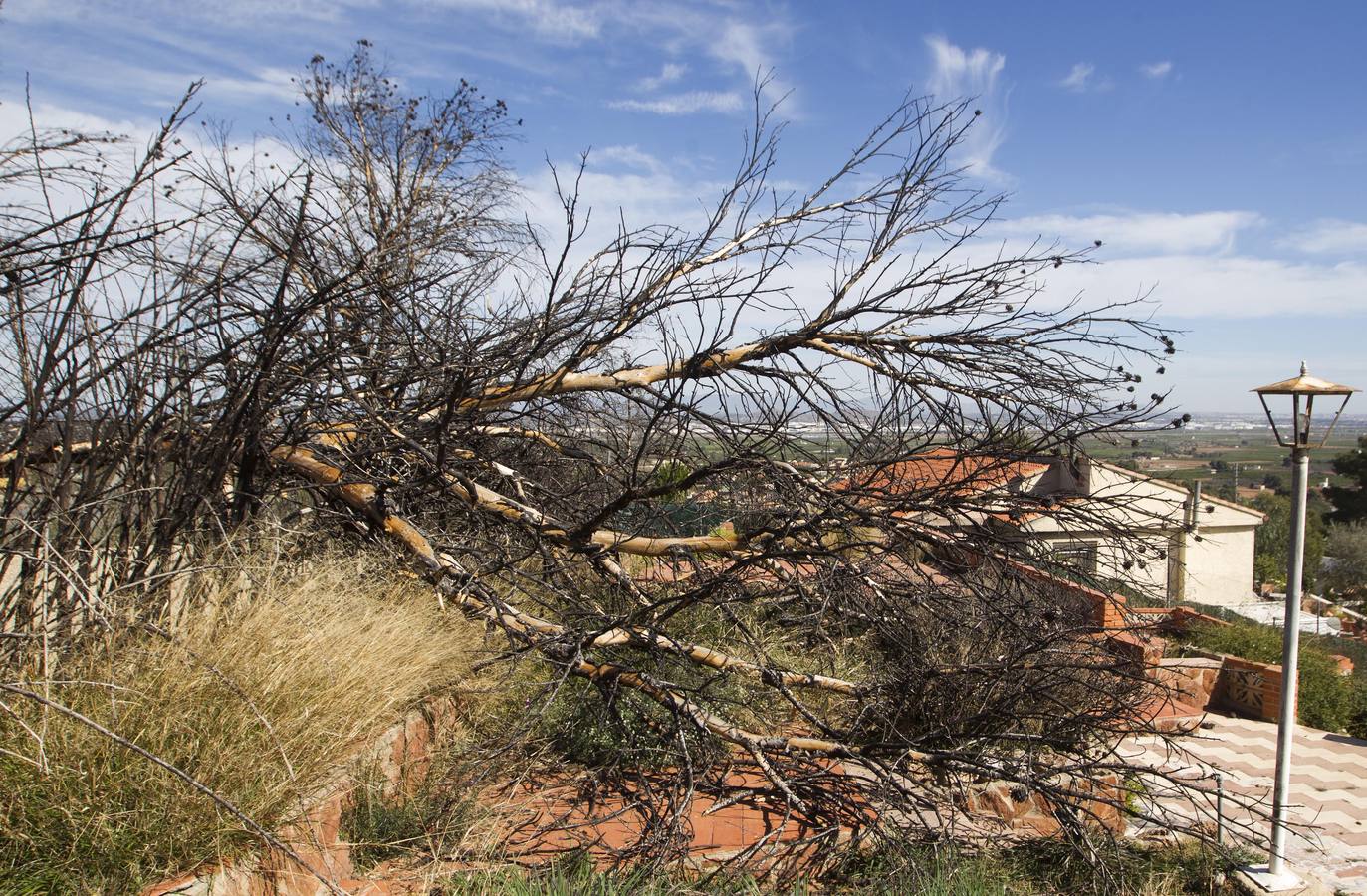 Aspecto que presenta la urbanización Sierra Perentxiza de Godelleta, en imágenes
