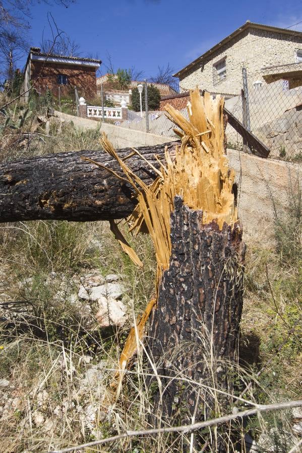 Aspecto que presenta la urbanización Sierra Perentxiza de Godelleta, en imágenes