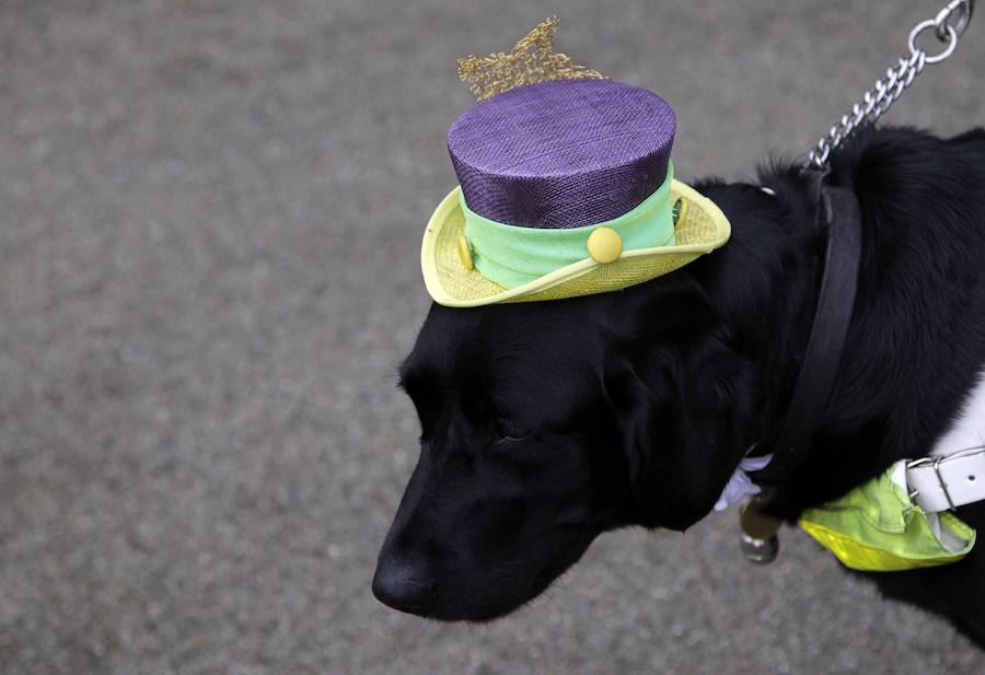 Los tocados más extravagantes de las carreras de Ascot