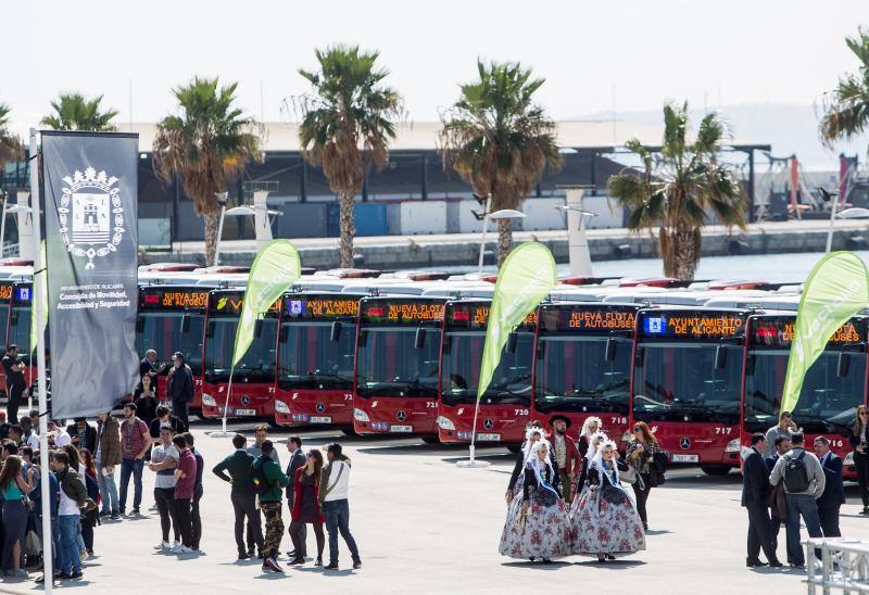 Nuevos autobuses urbanos en Alicante