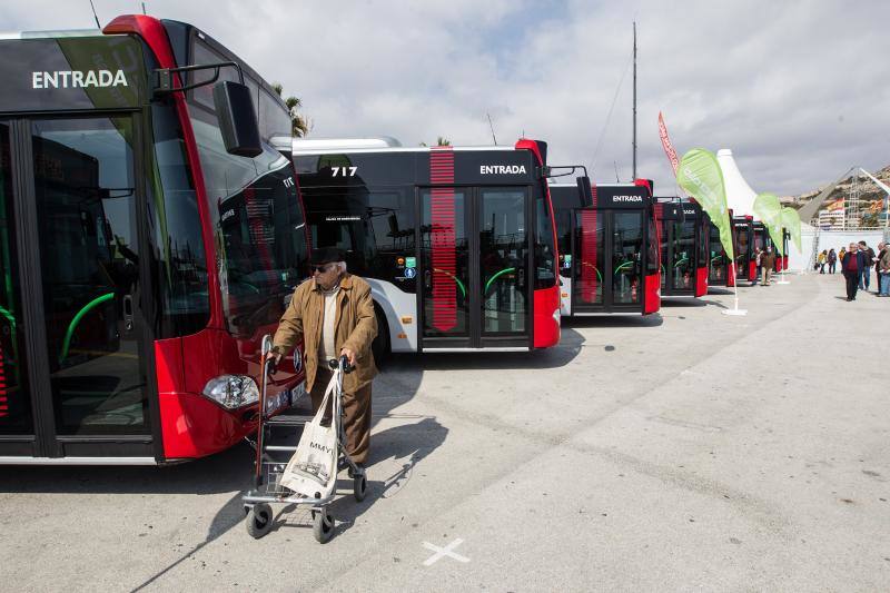 Nuevos autobuses urbanos en Alicante