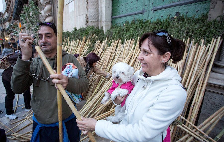 Miles de romeros participan en la Peregrina (II)