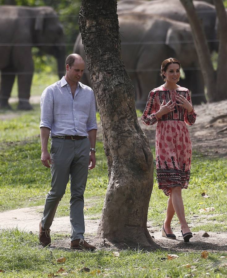Los duques de Cambridge disfrutan de un safari en la India