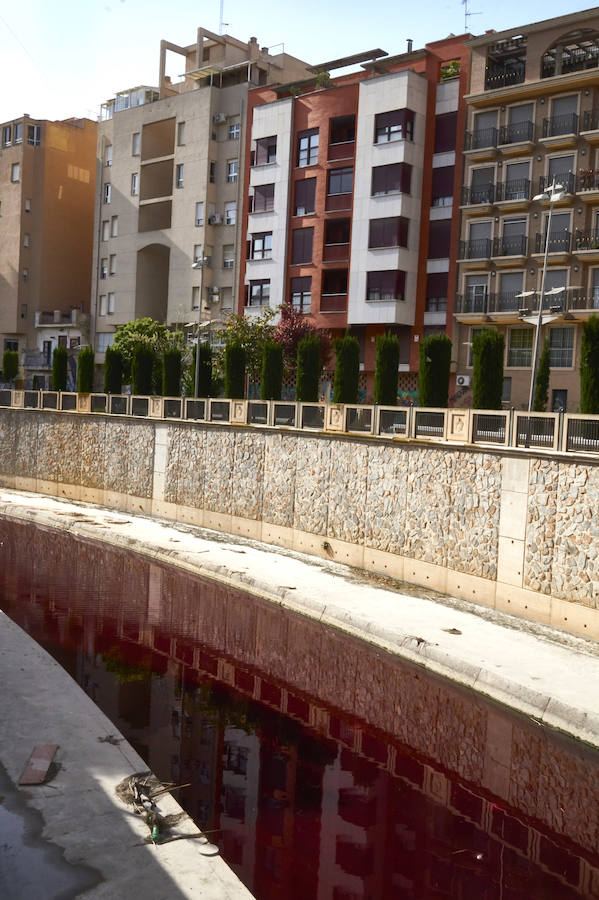 La CHS investiga un vertido de color rojo en el río Segura