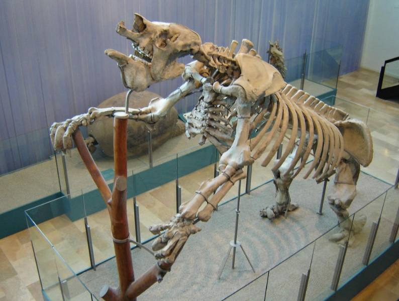 Yacimientos de dinosaurios cerca de Valencia
