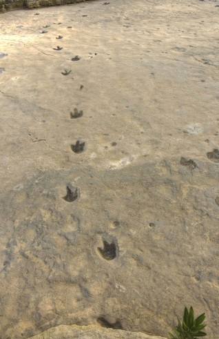 Yacimientos de dinosaurios cerca de Valencia