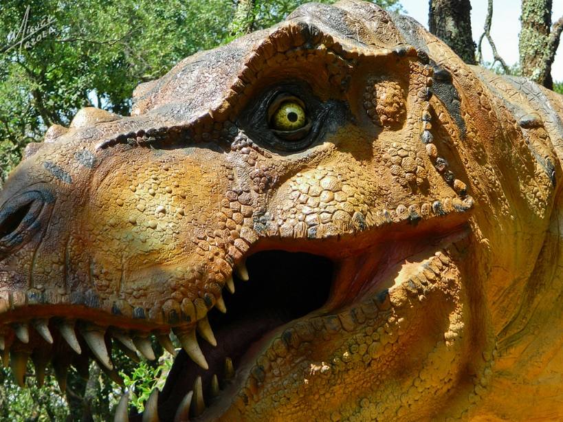 Yacimientos de dinosaurios cerca de Valencia