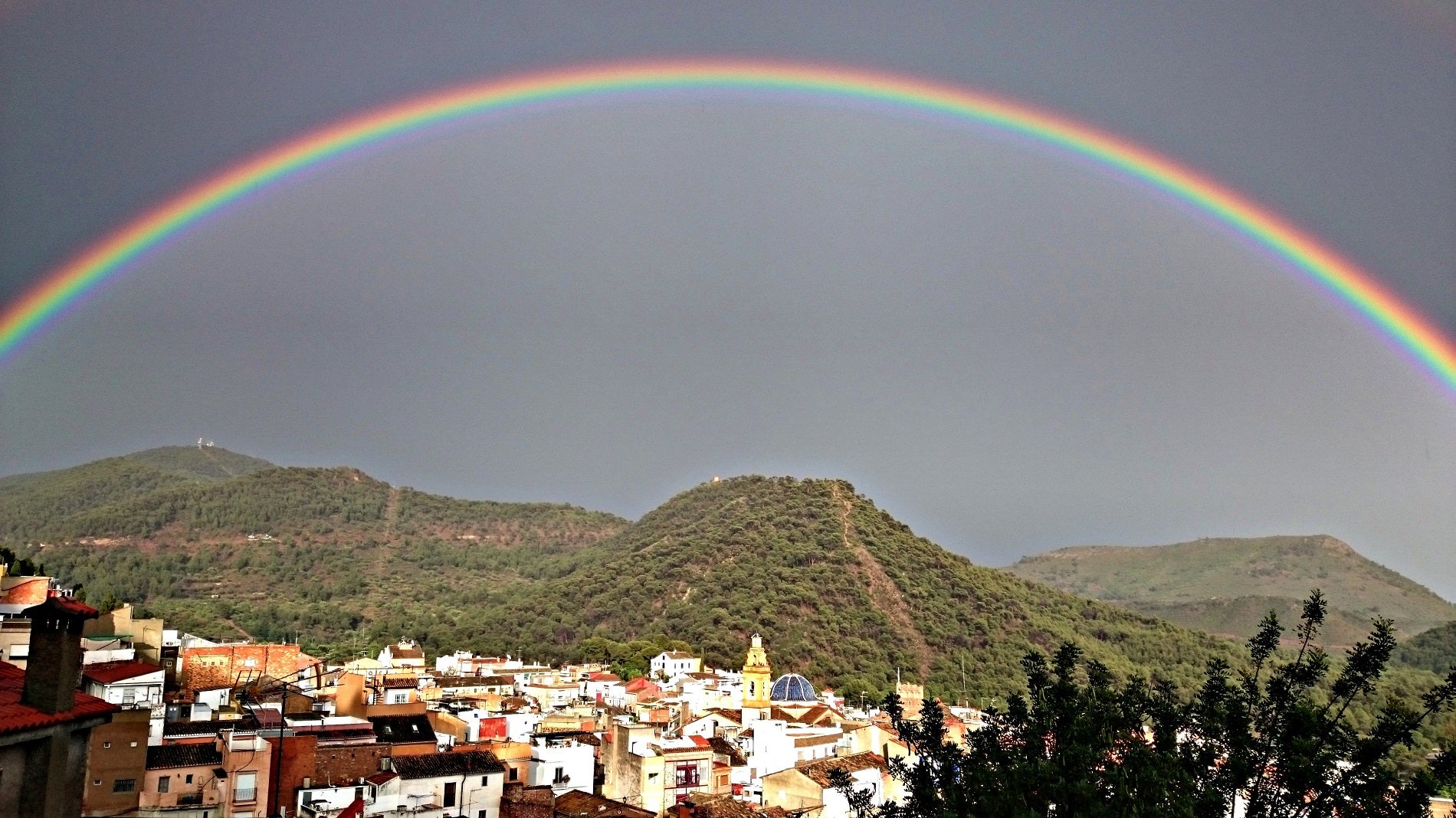 Fotos del día de LAS PROVINCIAS