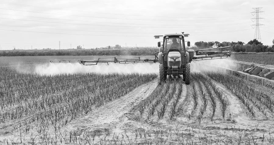Jacinto, una vida dedicada a la huerta