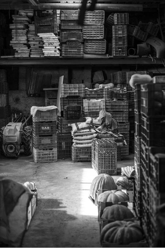 Jacinto, una vida dedicada a la huerta