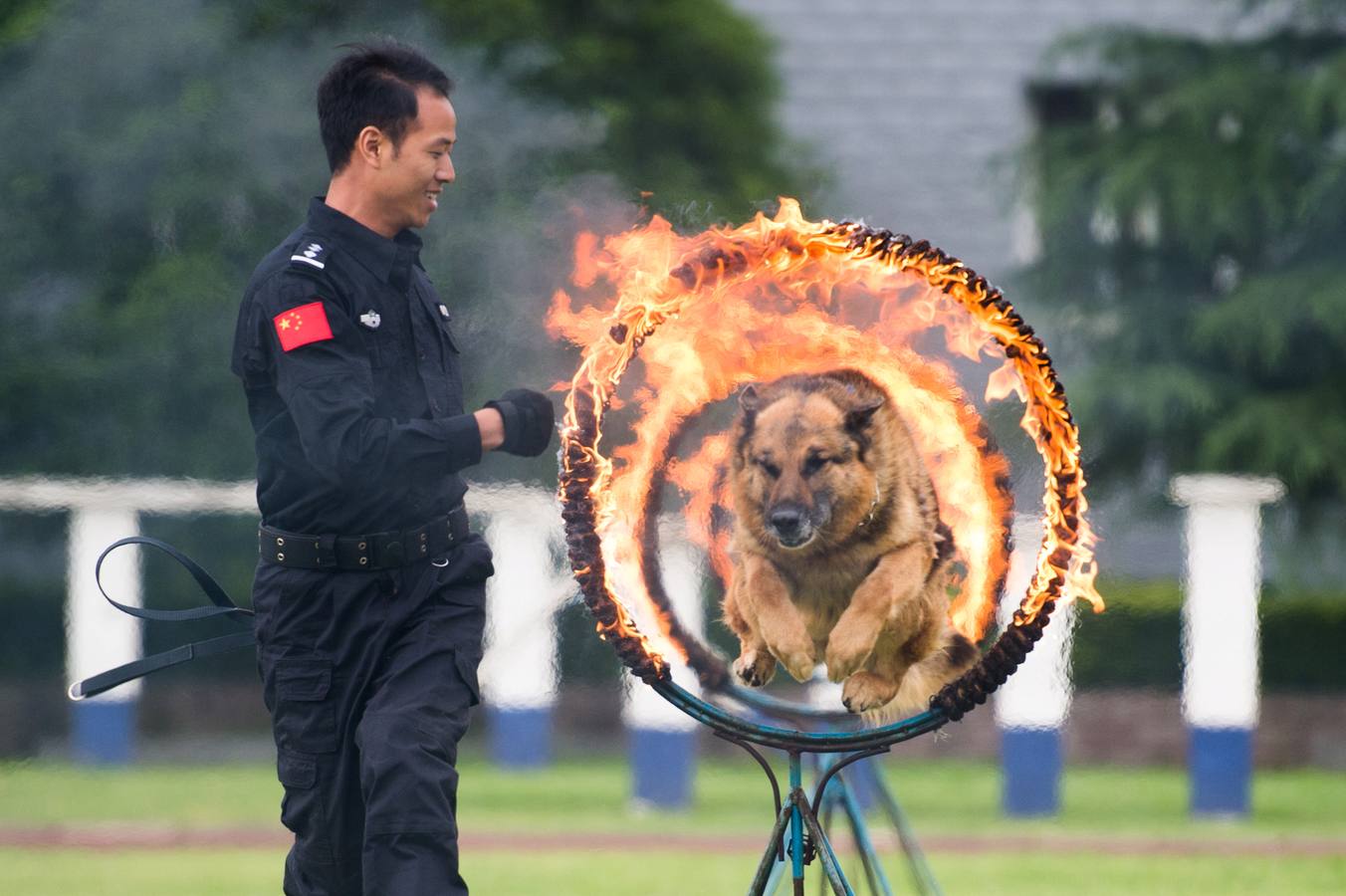 Un perro policía salta entre el fuego en una exhibición en Guiyang, en la provincia china de Guizhou.