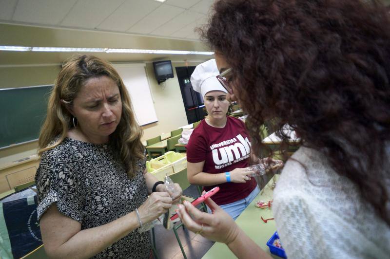 Taller de repostería en la UMH