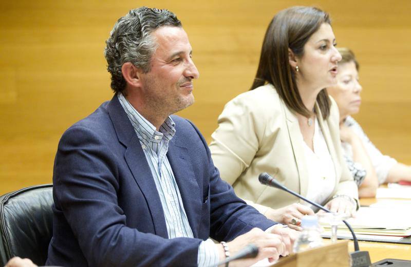 Comisión de investigación del accidente de metro en Les Corts