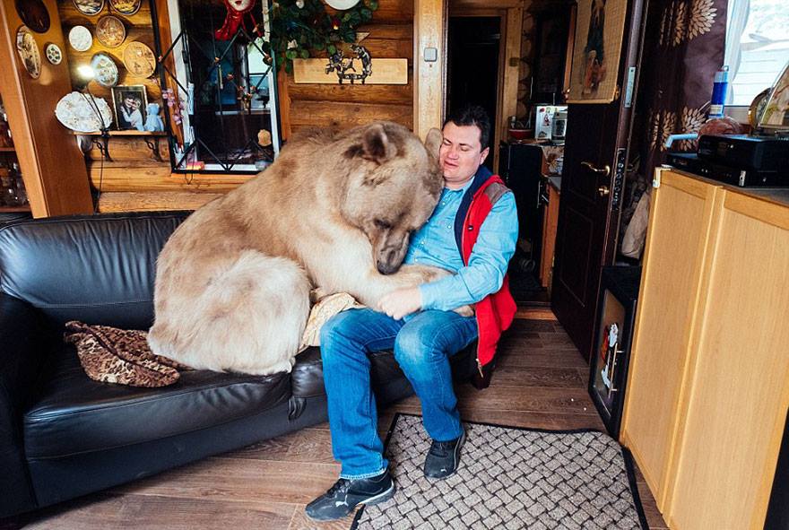 El oso más humano