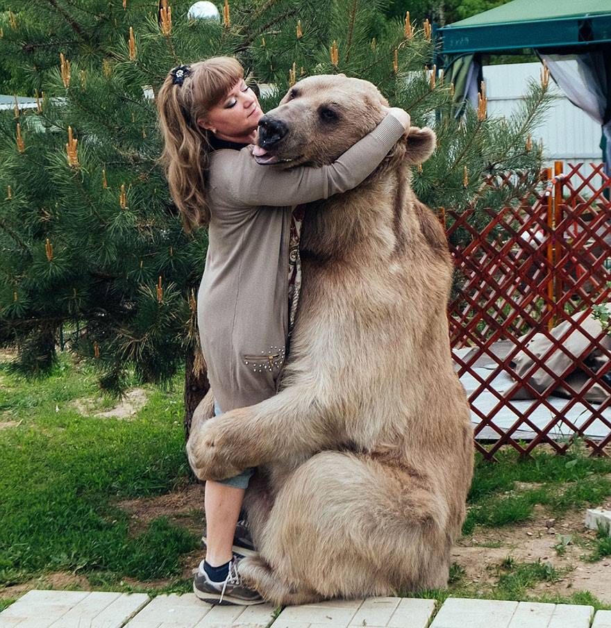El oso más humano