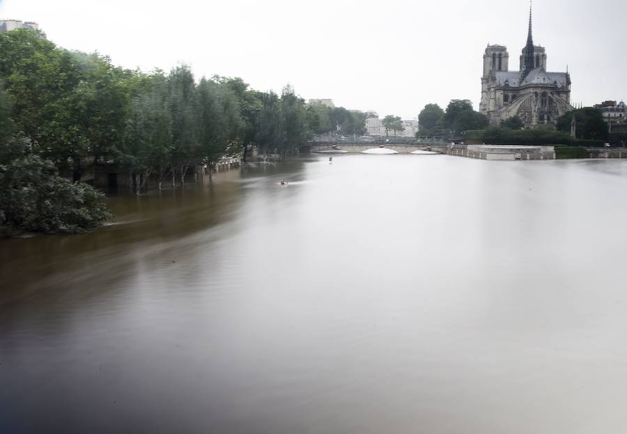 El río Sena cerca de la catedral de Notre Dame.