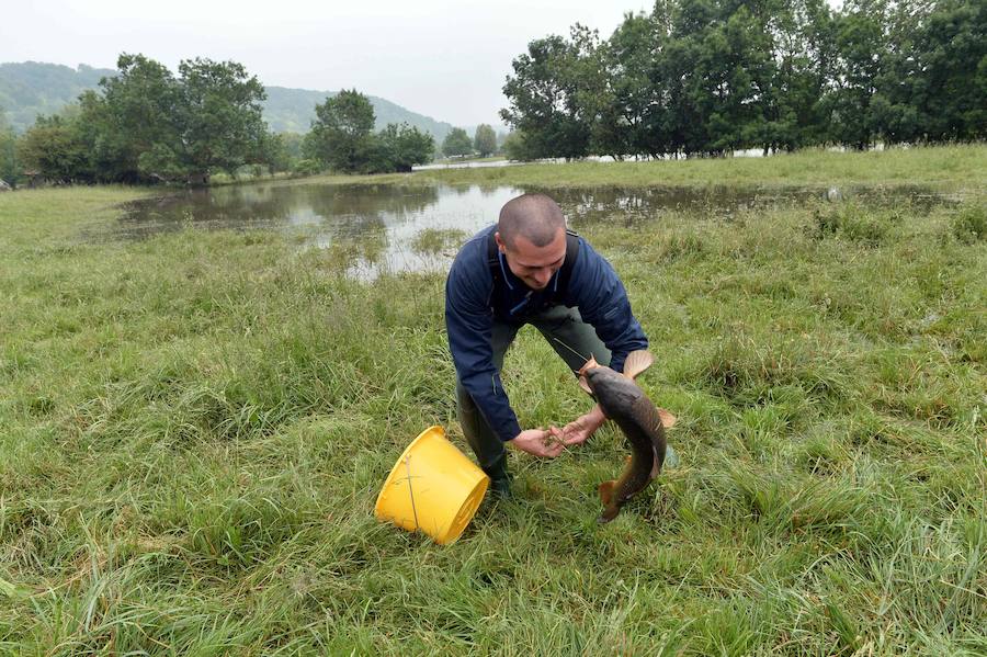 El agricultor francés Sebastien Thenard pesca una carpa en su campo después de haber quedado atrapada debido a las inundaciones del Sena.