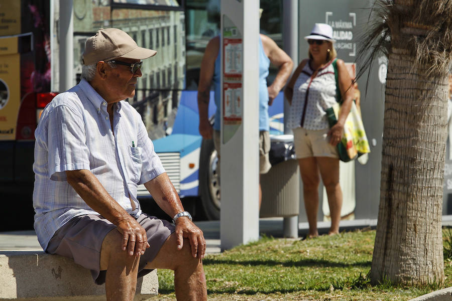 Altas temperaturas en Alicante