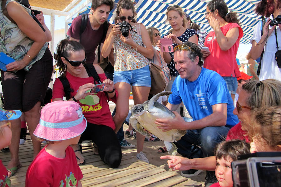 Dos tortugas regresan al mar en Dénia