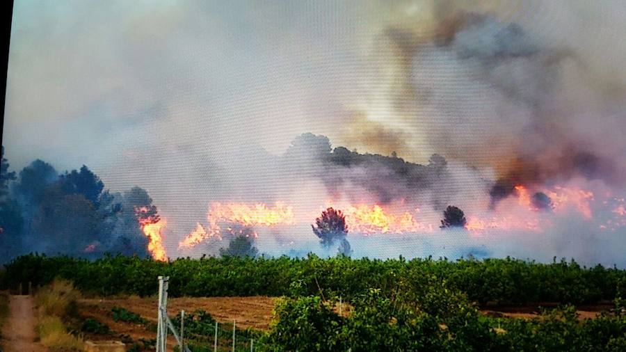 Fotos del incendio en Bolbaite, Chella, Anna, Cotes y Sellent