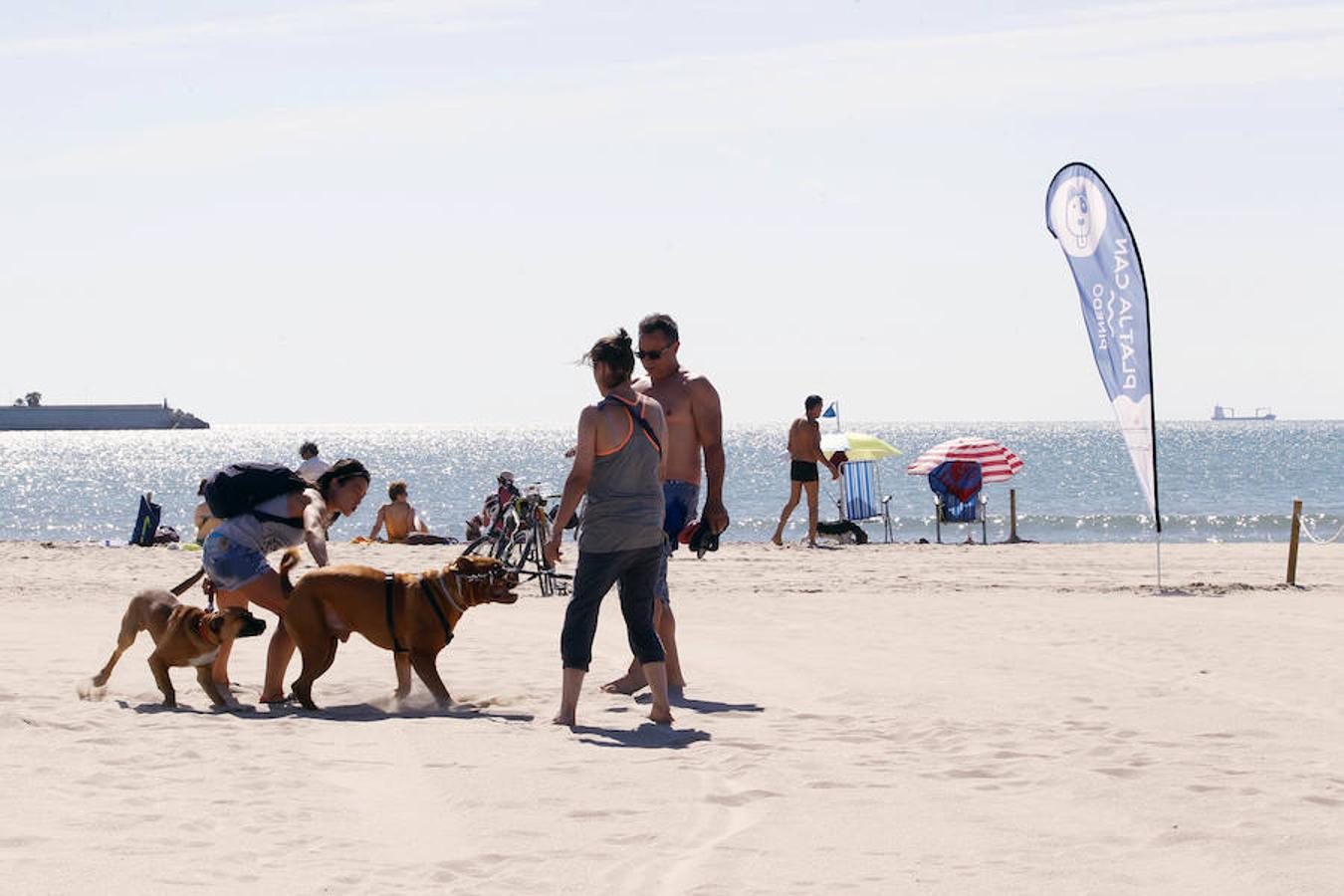 Fotos de la playa de perros en Pinedo