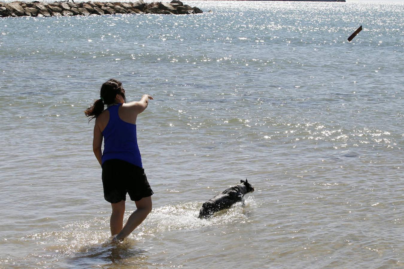 Fotos de la playa de perros en Pinedo