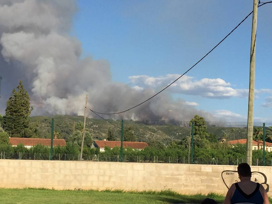 Fotos del incendio de Carcaixent (16/06/2016)