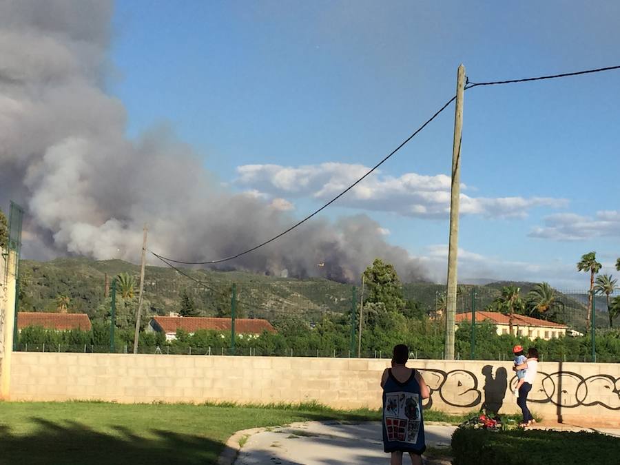 Fotos del incendio de Carcaixent (16/06/2016)