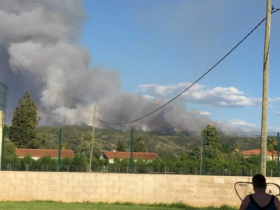 Fotos del incendio de Carcaixent (16/06/2016)