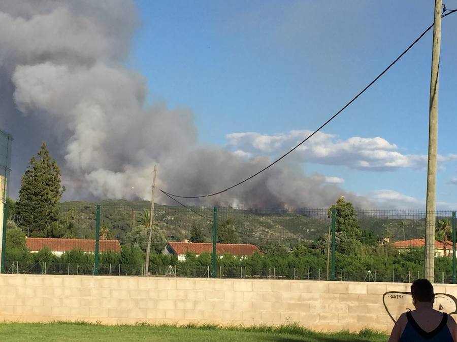 Fotos del incendio de Carcaixent (16/06/2016)