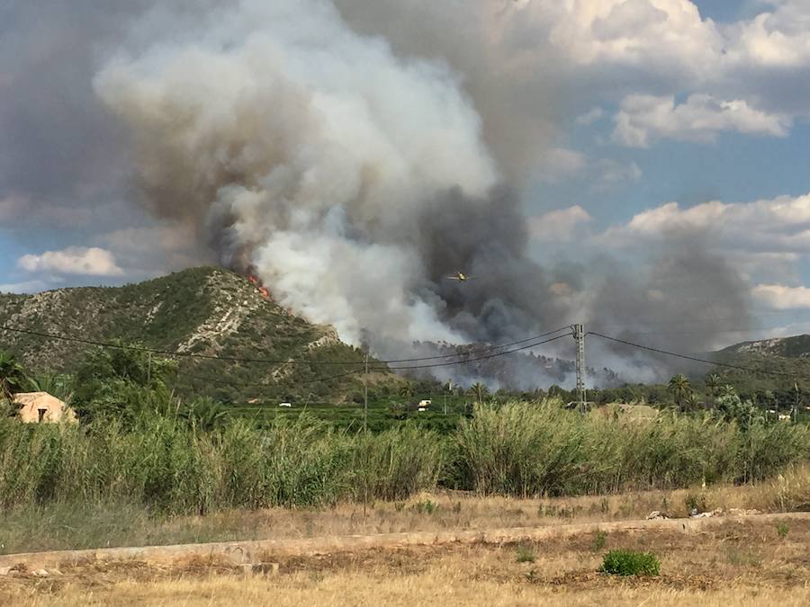 Fotos del incendio de Carcaixent (16/06/2016)