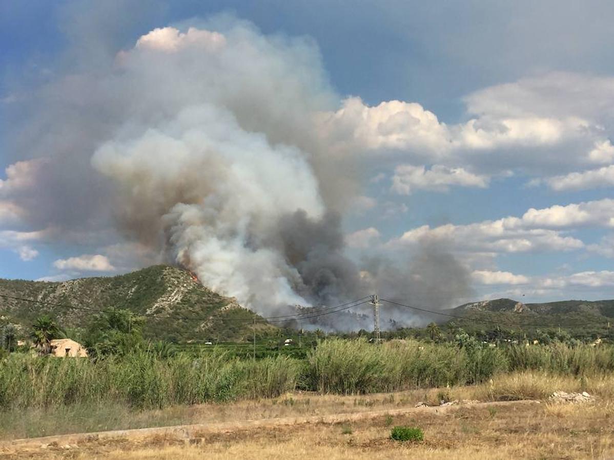 Fotos del incendio de Carcaixent (16/06/2016)