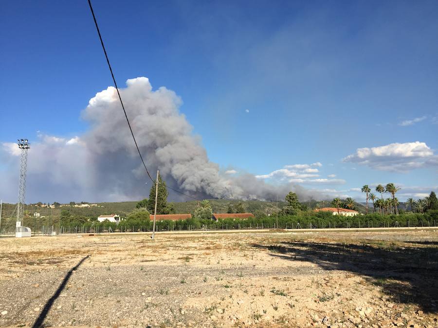 Fotos del incendio de Carcaixent (16/06/2016)