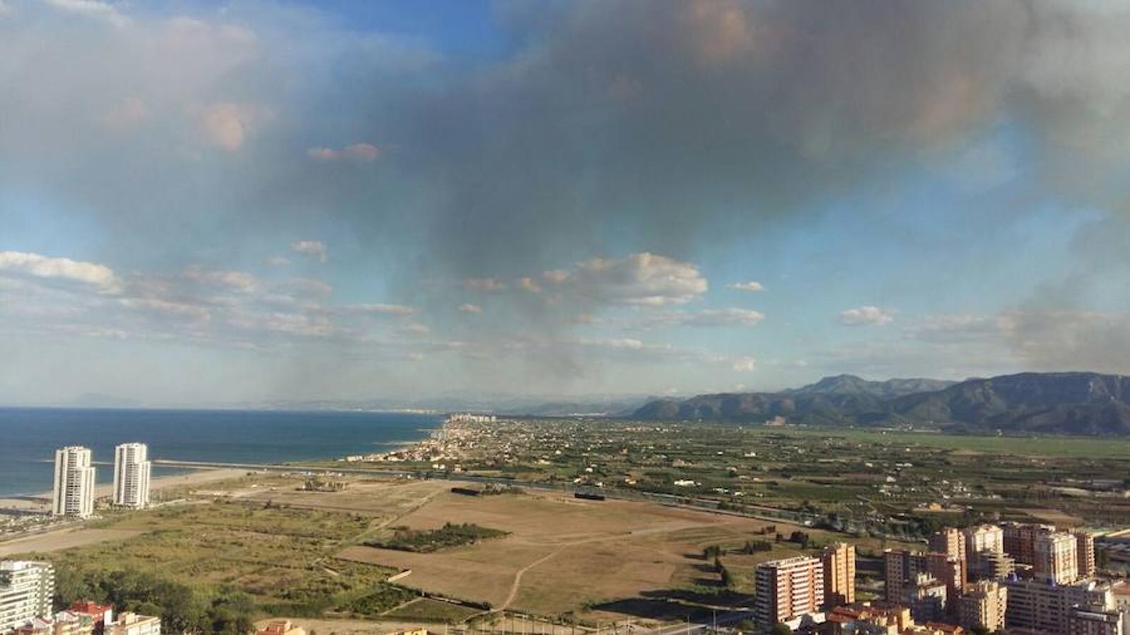 Fotos del incendio de Carcaixent (16/06/2016)