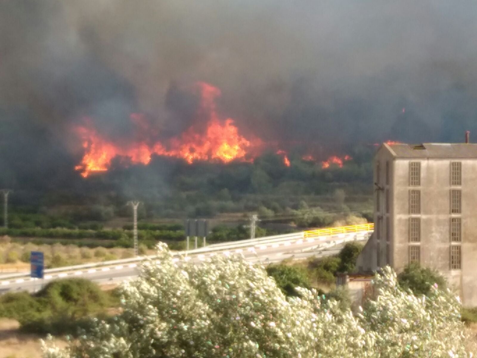 Fotos del incendio en Terrateig (16-06-2016)