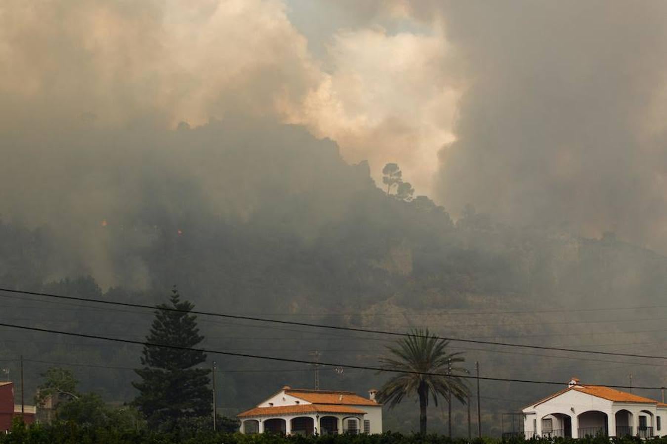 Fotos del incendio de Carcaixent (17-06-2016) II