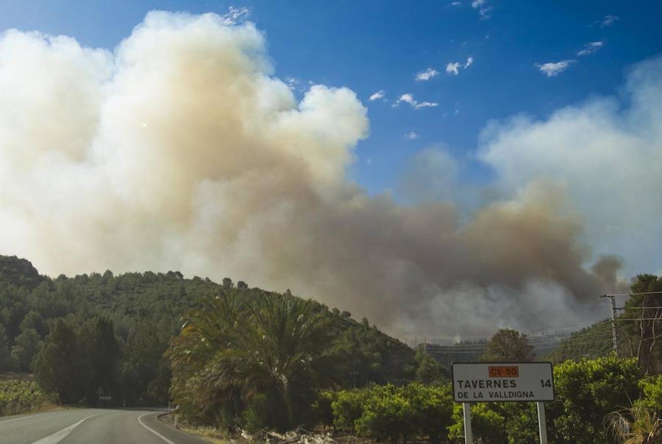 Fotos del incendio de Carcaixent (17-06-2016) II