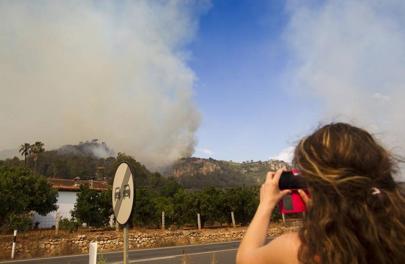 Fotos del incendio de Carcaixent (17-06-2016) II