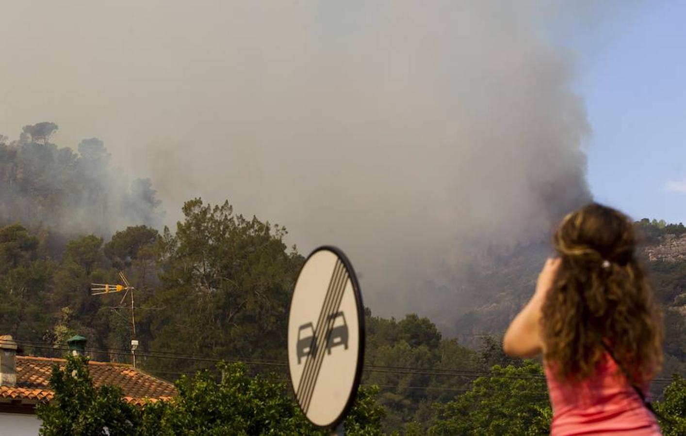 Fotos del incendio de Carcaixent (17-06-2016) II