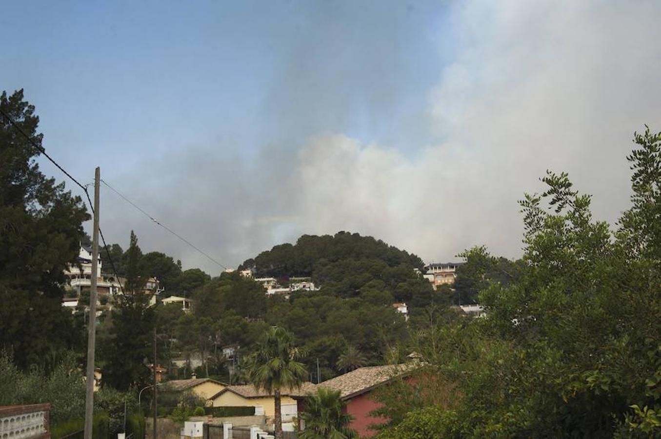 Fotos del incendio de Carcaixent (17-06-2016) II