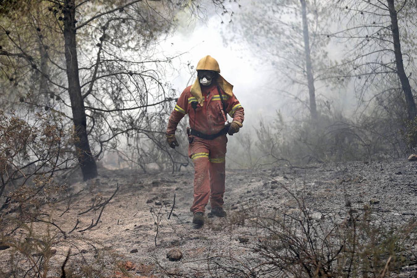 Fotos del incendio de Carcaixent (17-06-2016) II