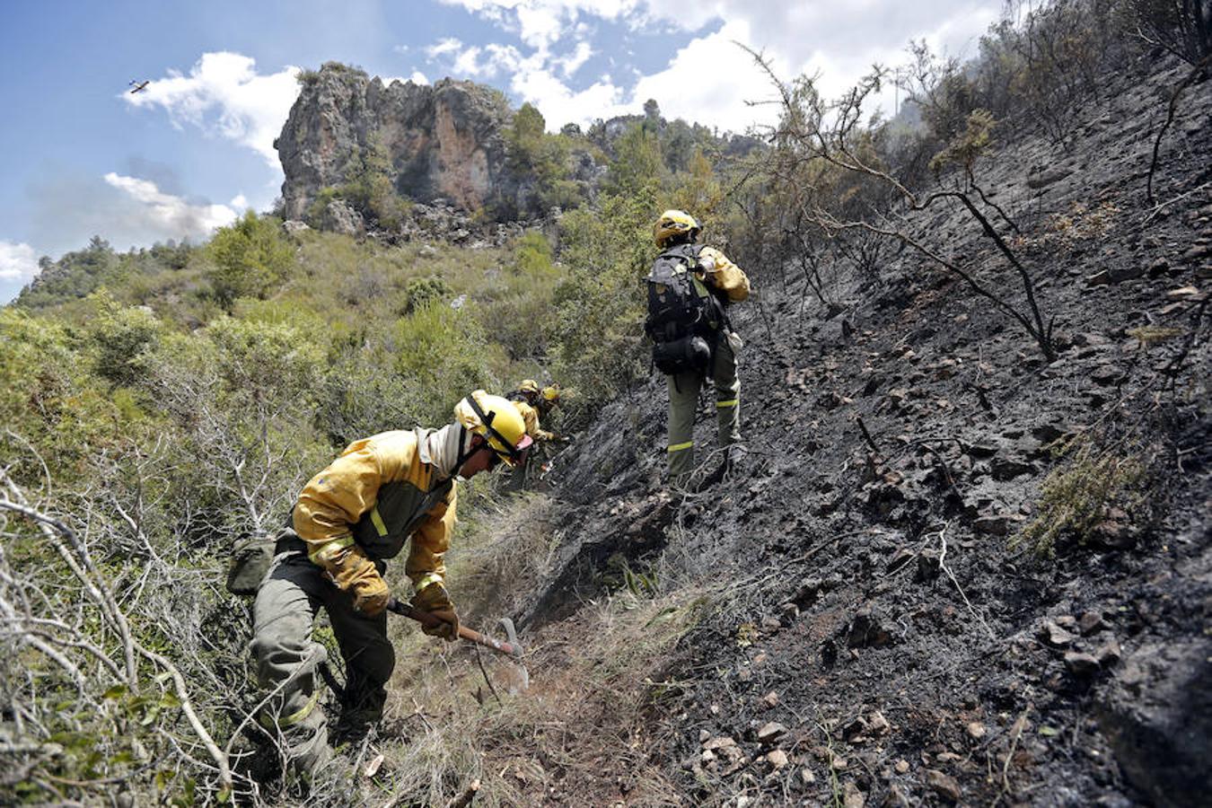 Fotos del incendio de Carcaixent (17-06-2016) II