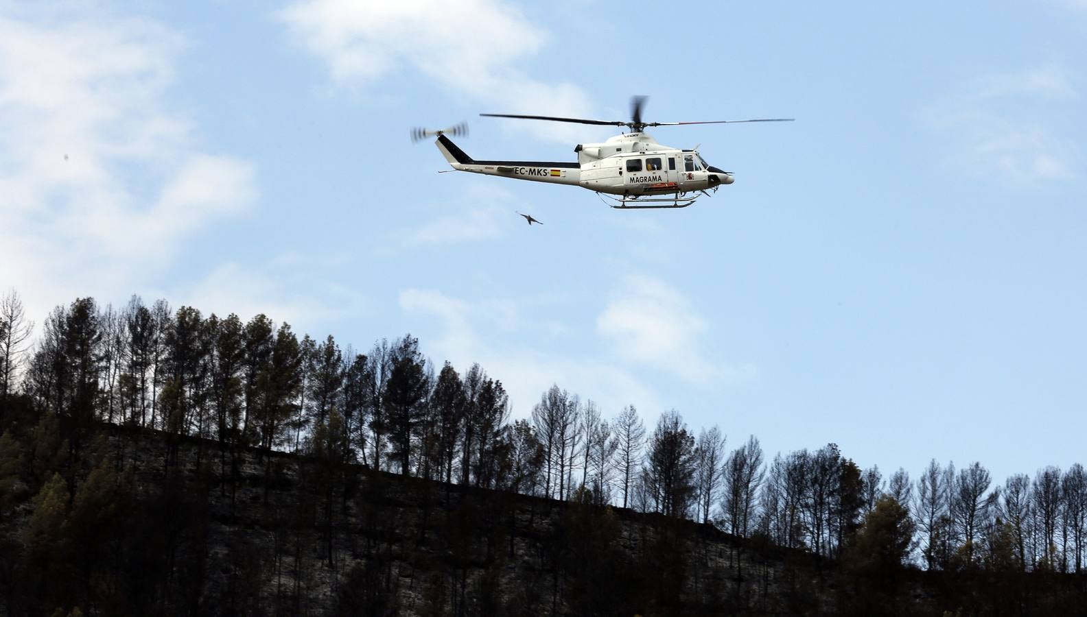 Fotos del incendio de Carcaixent (sábado 18 de junio)