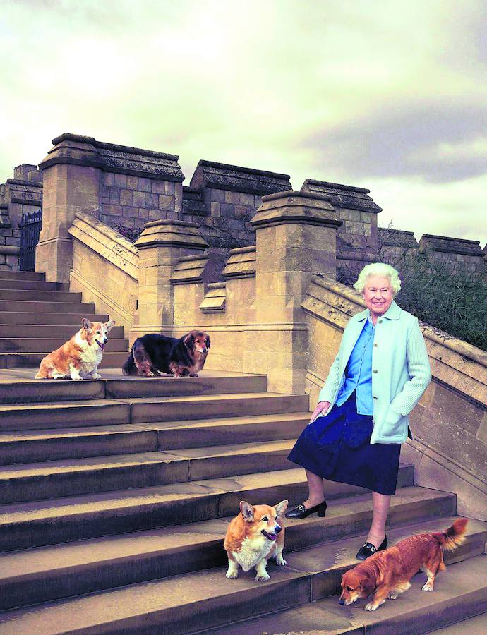 Fotos de las mascotas de palacio