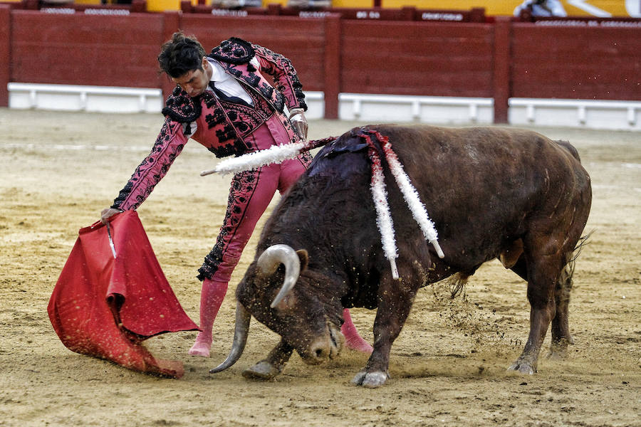 Toros de Hnos. García Jiménez y Olga Jiménez para Francisco Rivera &#039;Paquirri&#039;, David Fandila &#039;El Fandi&#039; y Cayetano en la Feria de Hogueras