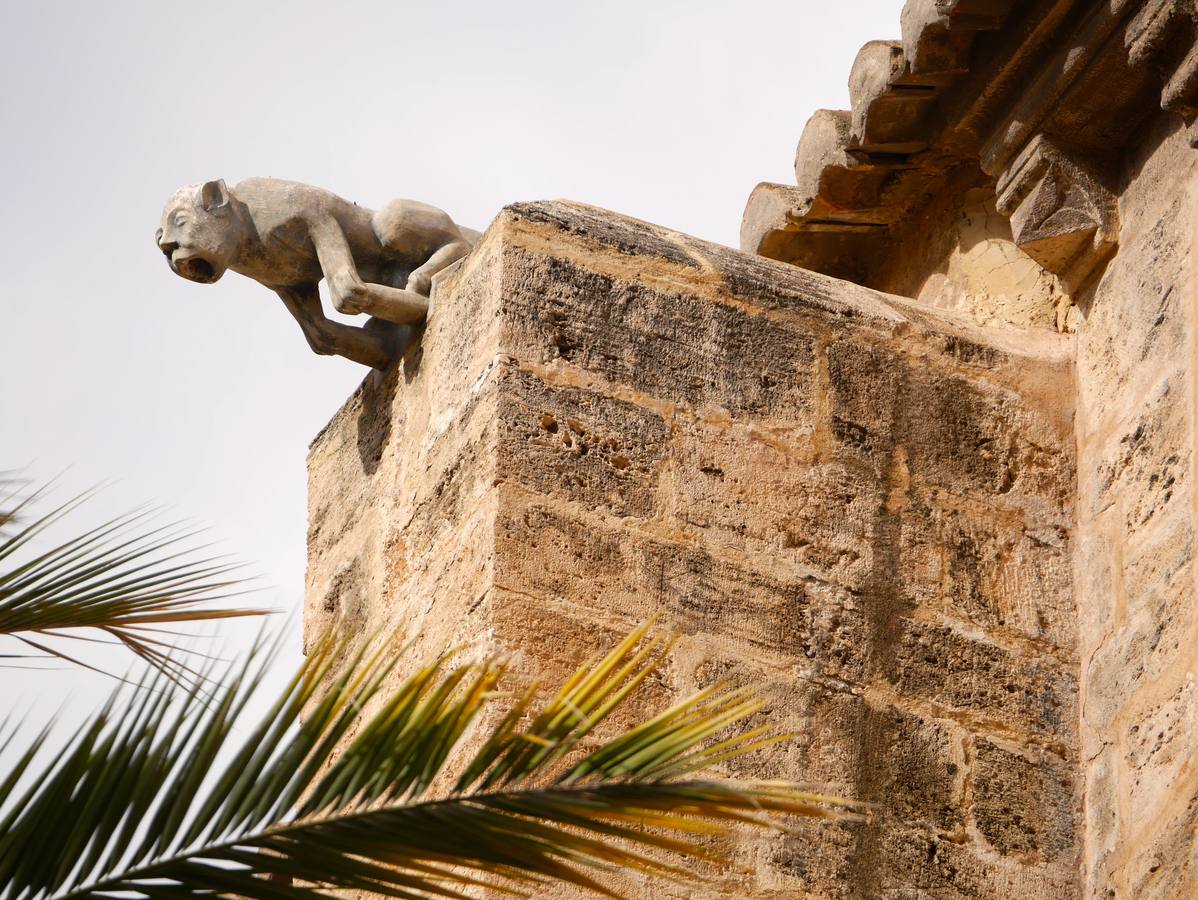 Fotos de la restauración de San Juan del Hospital de Valencia