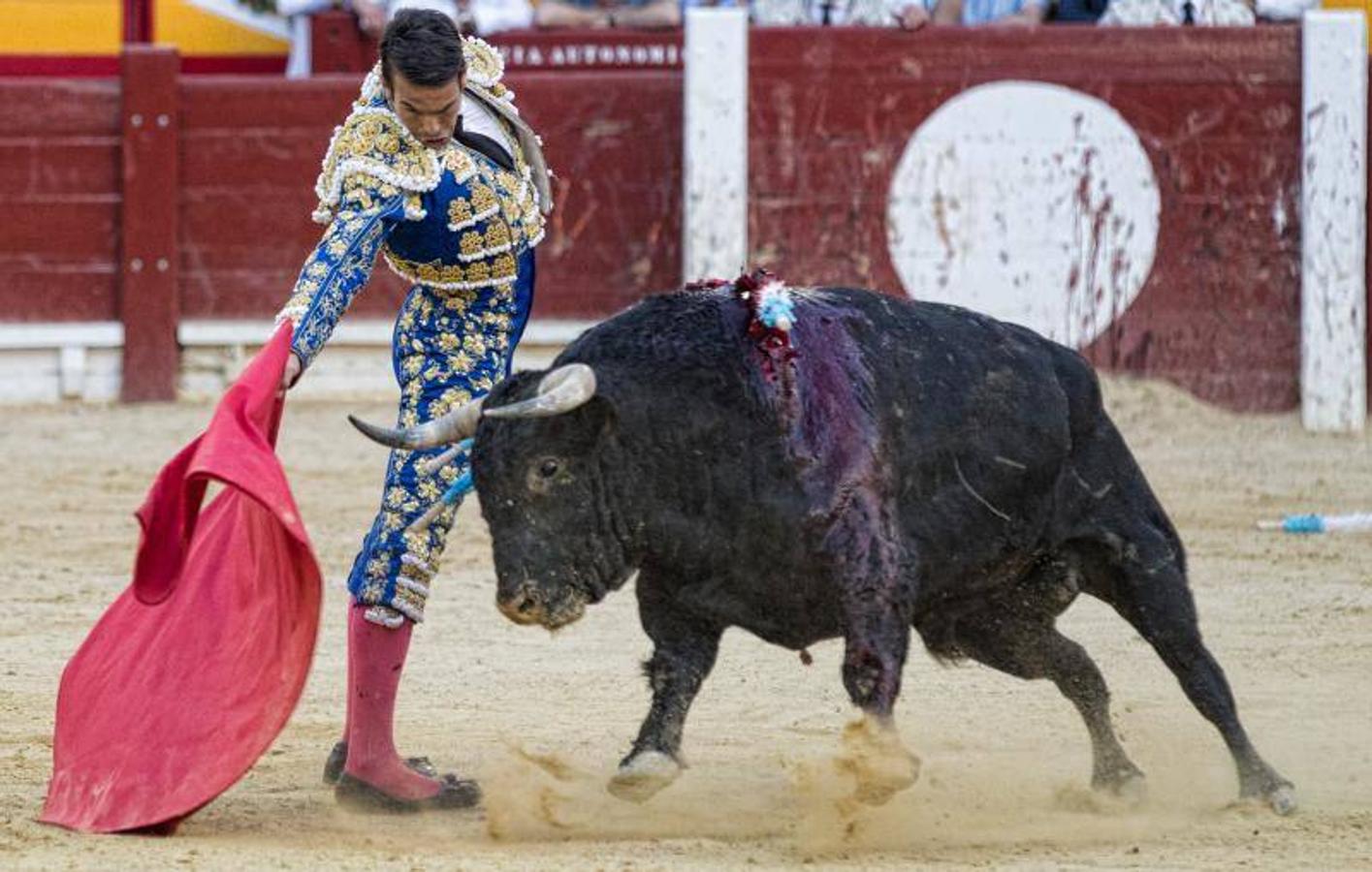 José Tomás deslumbra a Alicante